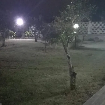 Dei Mille Colori Con Ampio Giardino Adatta Ai Vostri Amici A Quattro Zampe *