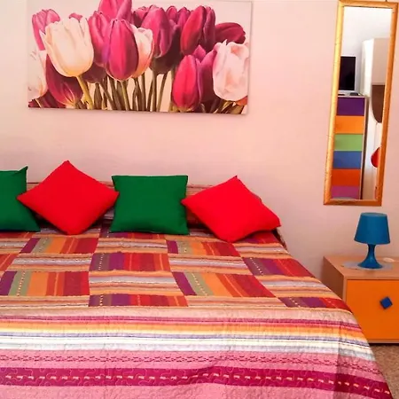 Dei Mille Colori Con Ampio Giardino Adatta Ai Vostri Amici A Quattro Zampe