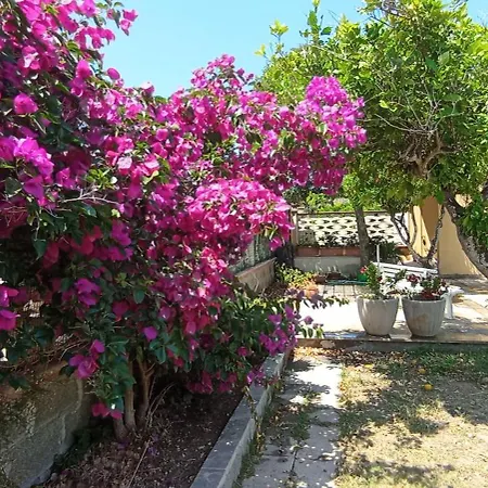 Dei Mille Colori Con Ampio Giardino Adatta Ai Vostri Amici A Quattro Zampe